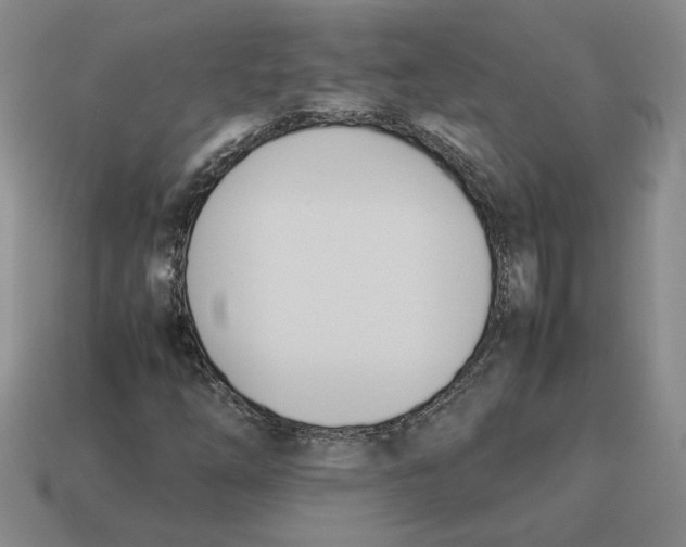 X0000114231254200911061521