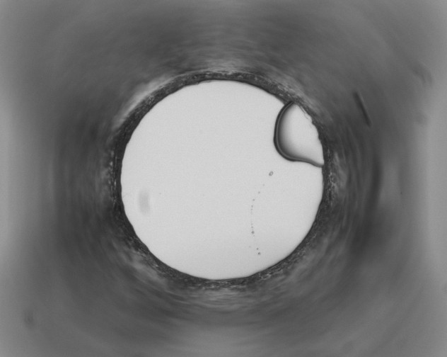 X0000114231256200911061521