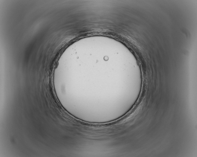 X0000114231257200911061521