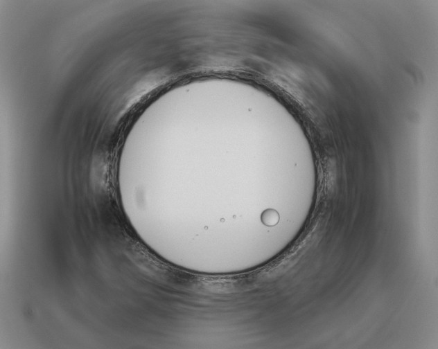 X0000114231258200911061521