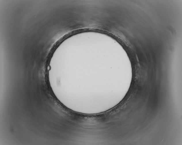 X0000114231264200911061521