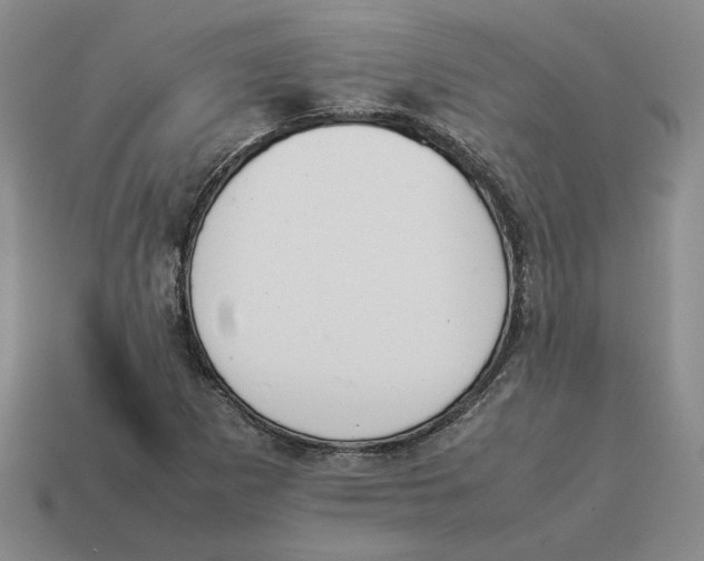 X0000114231265200911061521
