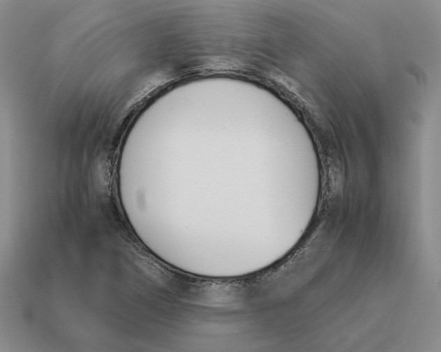 X0000114231266200911061520