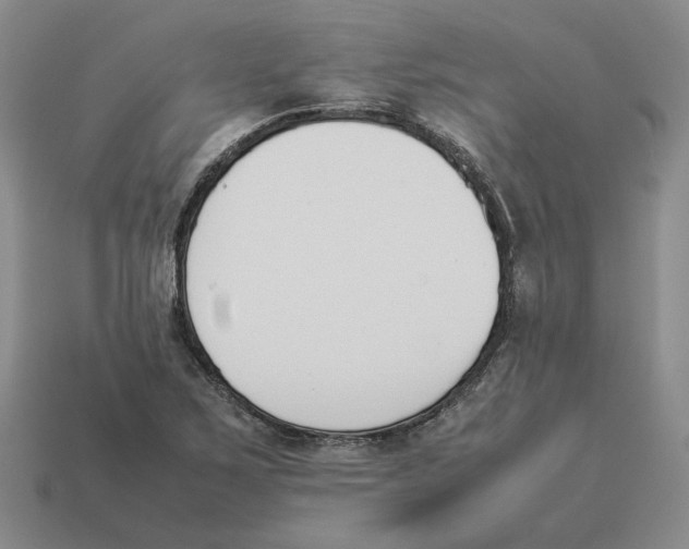 X0000114231267200911061520