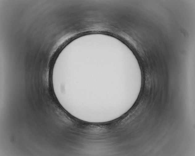 X0000114231270200911061520