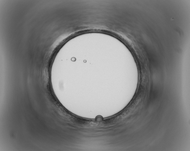 X0000114231271200911061520