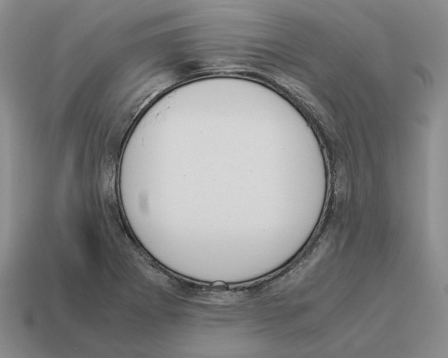 X0000114231273200911061520