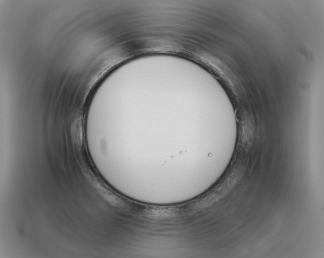 X0000114231274200911061520