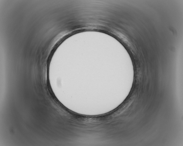 X0000114231275200911061520