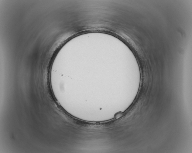 X0000114231277200911061520