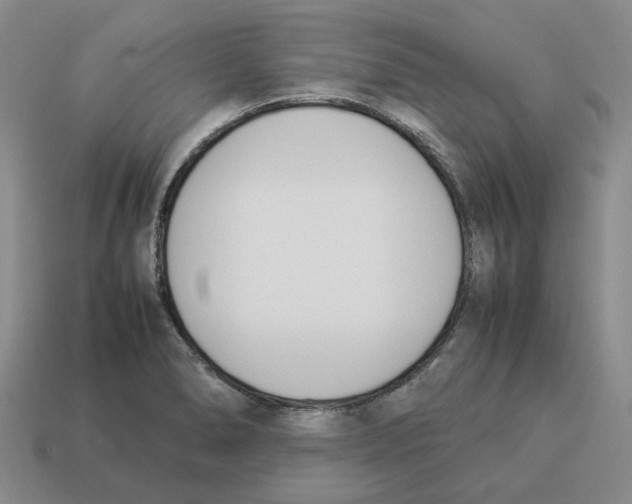 X0000114231278200911061520