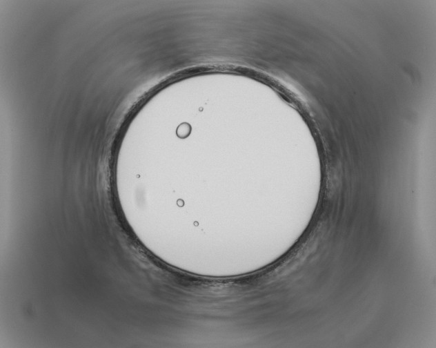 X0000114231279200911061520