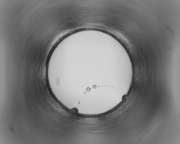 X0000114231280200911061520