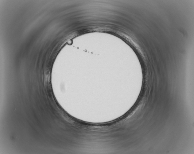X0000114231281200911061520