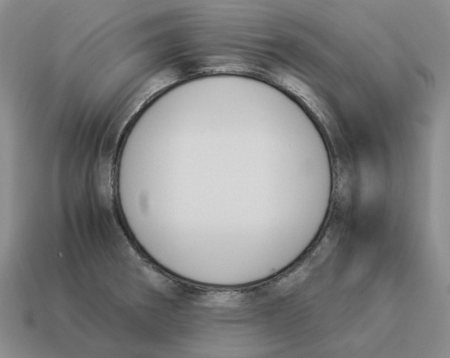 X0000114231282200911061520