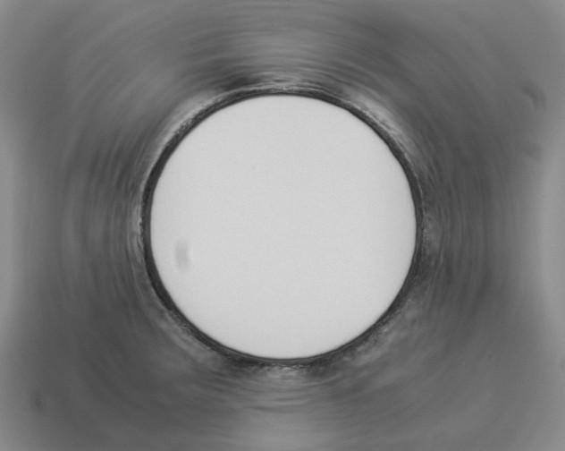 X0000114231283200911061520