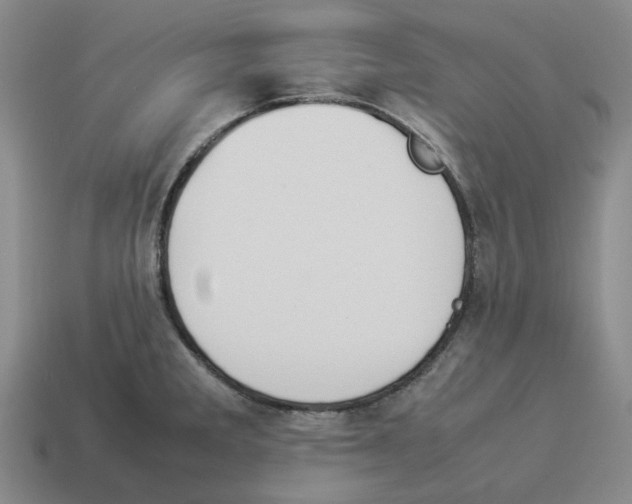 X0000114231285200911061520