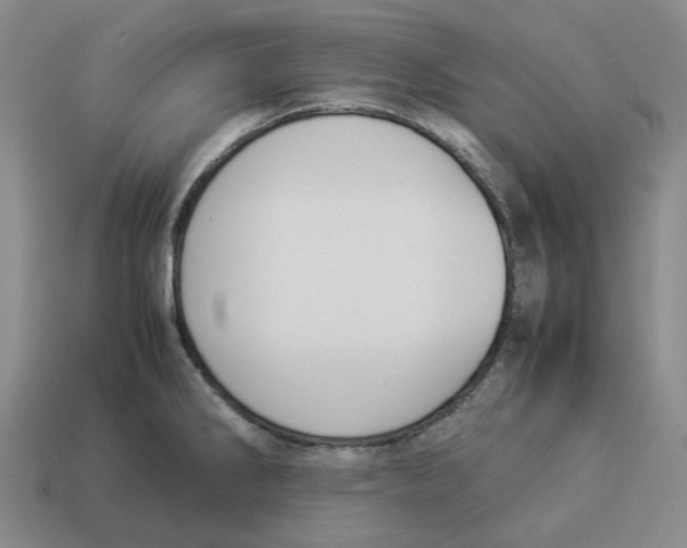 X0000114231286200911061520