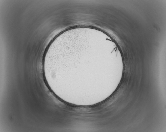 X0000114231287200911061520