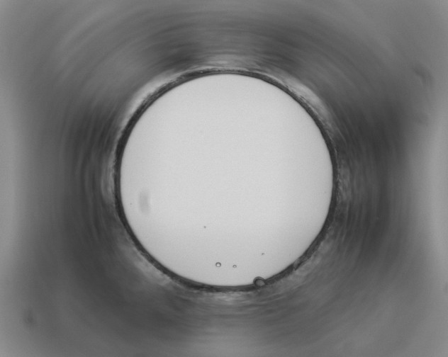 X0000114231288200911061520