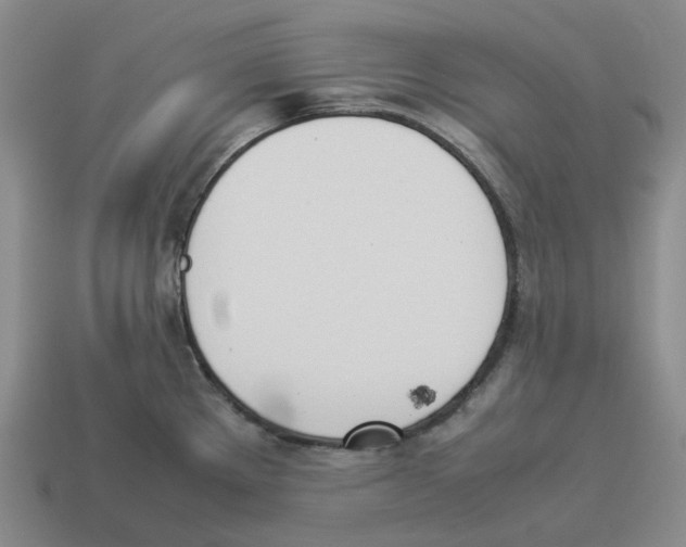 X0000114231289200911061520