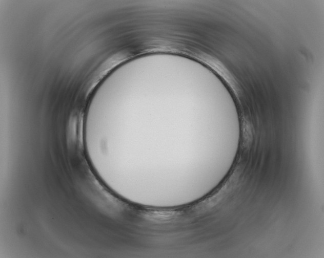 X0000114231290200911061520