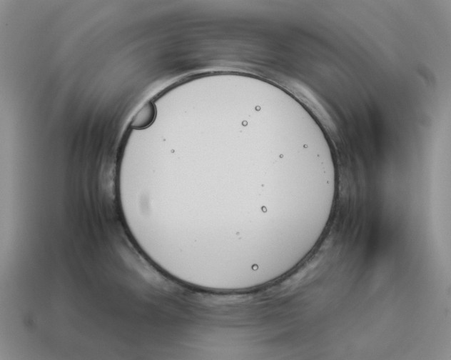X0000114231292200911061520