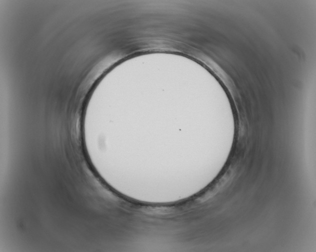 X0000114231293200911061520