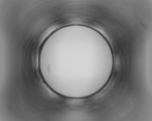 X0000114231294200911061520