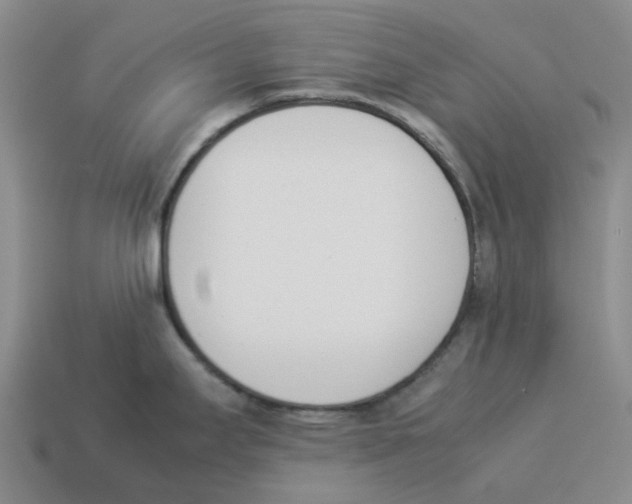X0000114231295200911061520