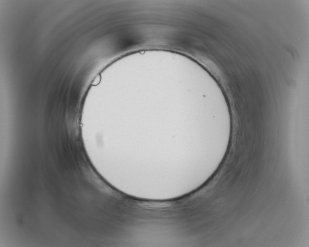 X0000114231296200911061520