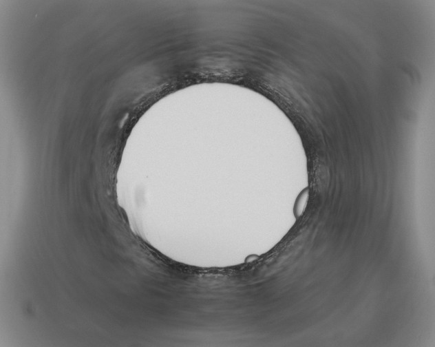 X0000114231297200911061519
