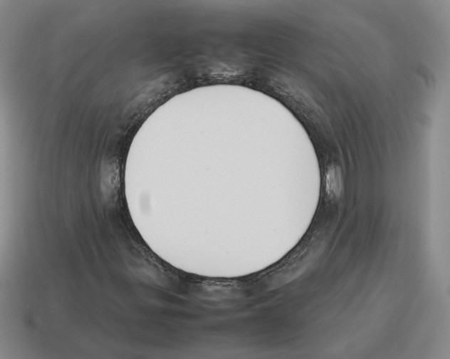 X0000114231299200911061520