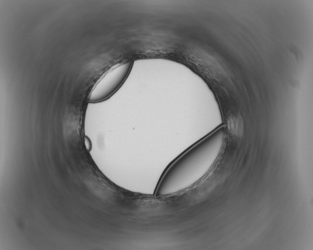X0000114231300200911061520