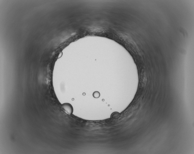 X0000114231301200911061520