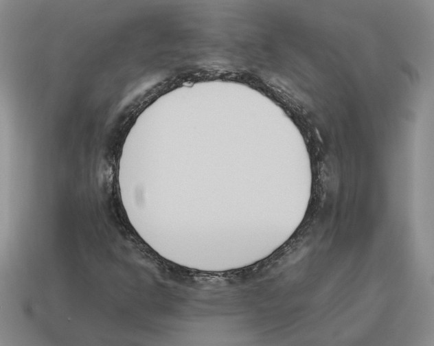 X0000114231302200911061520
