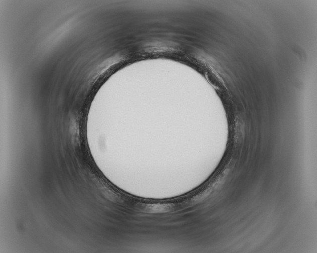 X0000114231305200911061520