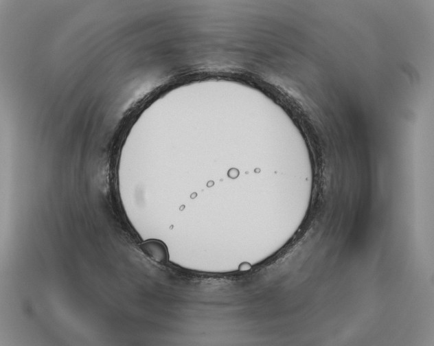 X0000114231306200911061520