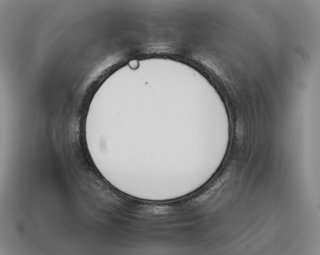 X0000114231309200911061520
