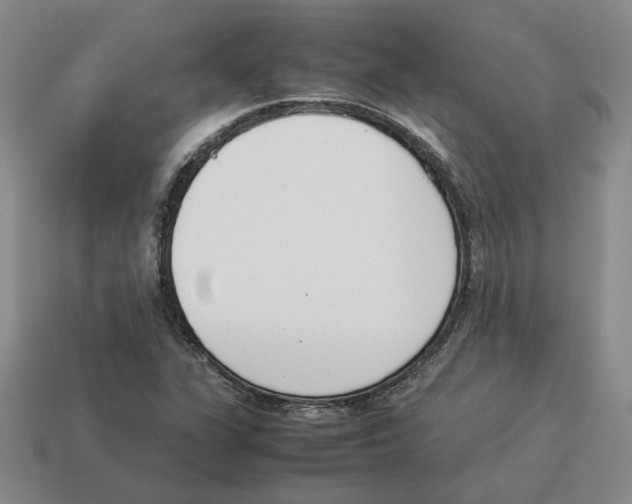 X0000114231311200911061520