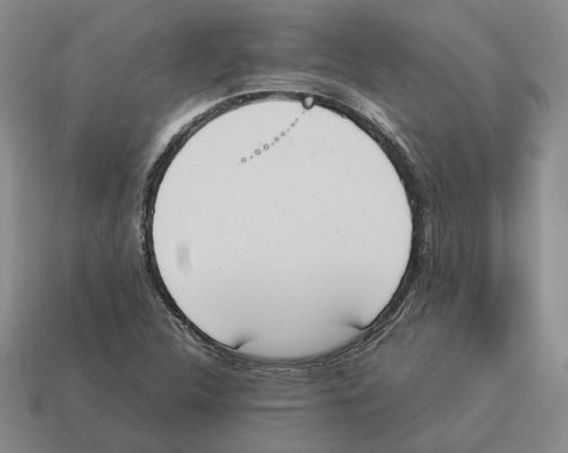X0000114231312200911061520