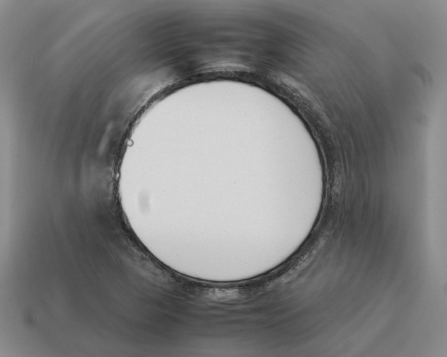 X0000114231313200911061520