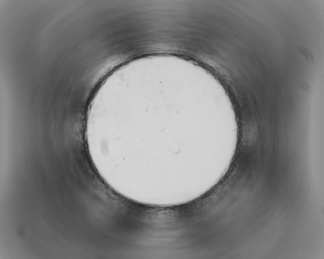 X0000114231314200911061520