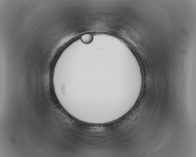 X0000114231315200911061520