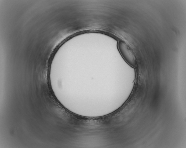 X0000114231316200911061520