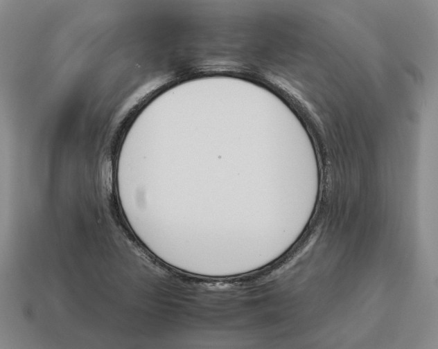 X0000114231317200911061520