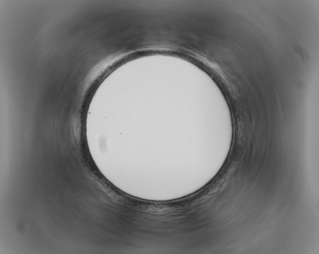 X0000114231319200911061520