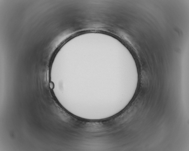 X0000114231320200911061520