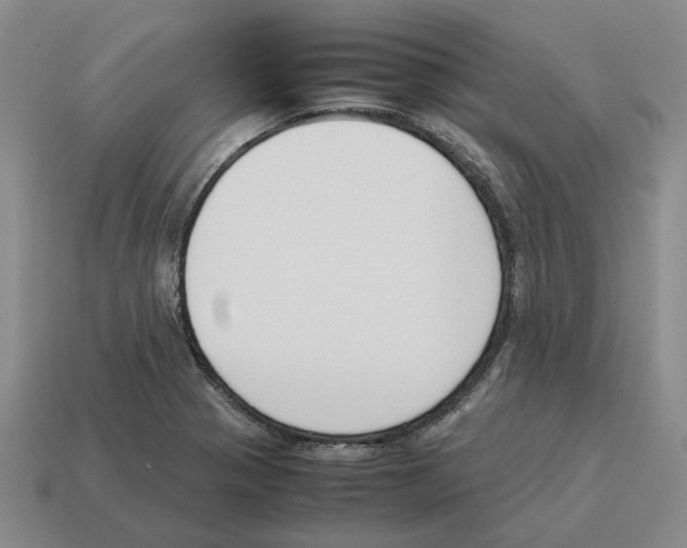 X0000114231321200911061520
