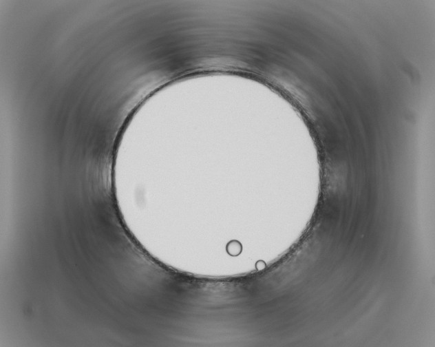 X0000114231322200911061520
